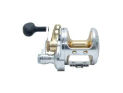 Fin-Nor Marquesa 2 Speed