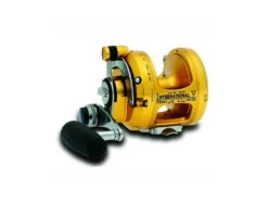 Penn International 12VSX