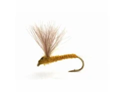 Runes CDC Nohackle Light Olive