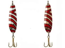 Sølvkroken Salamander Zebra