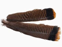 Hareline Cinnamon Tip Turkey Tail Feather