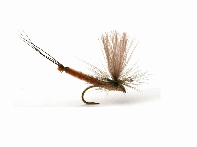 Vulgata Dun Krok 10 1 Vulgata Dun Krok 10